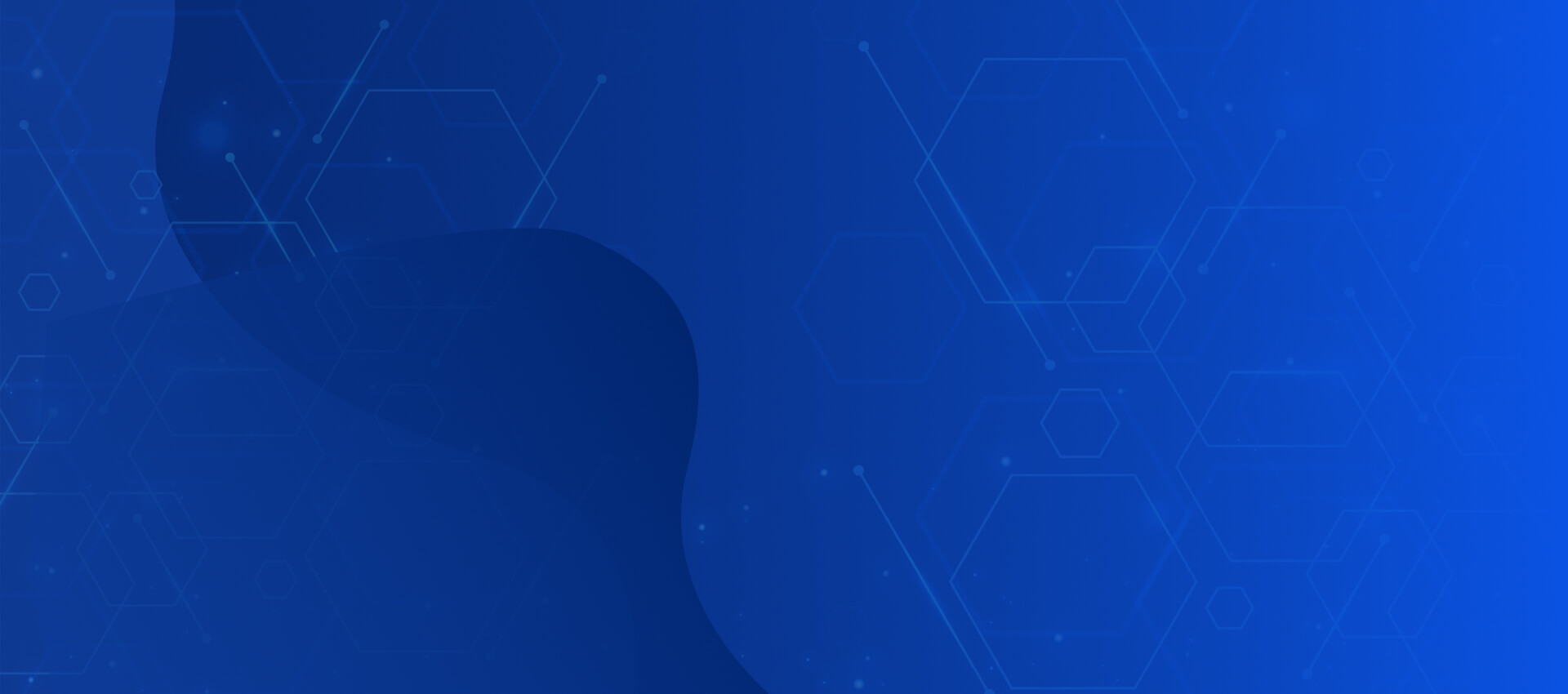 Web & Digital Solutions